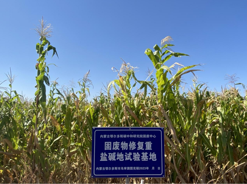 圖片5.png 圖片5.png